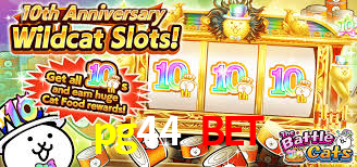 APP oficial da pg44 bet para mobile